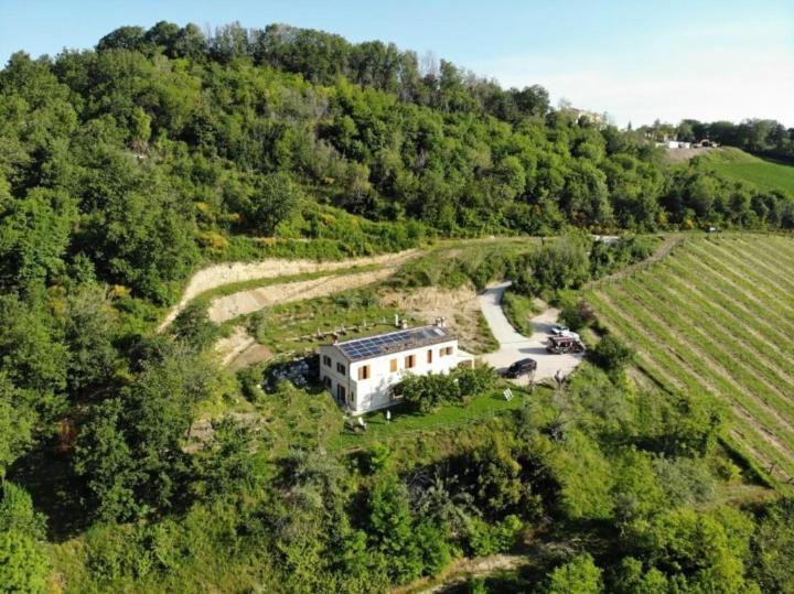 Ca'Rosei Apartment Monteciccardo Bagian luar foto