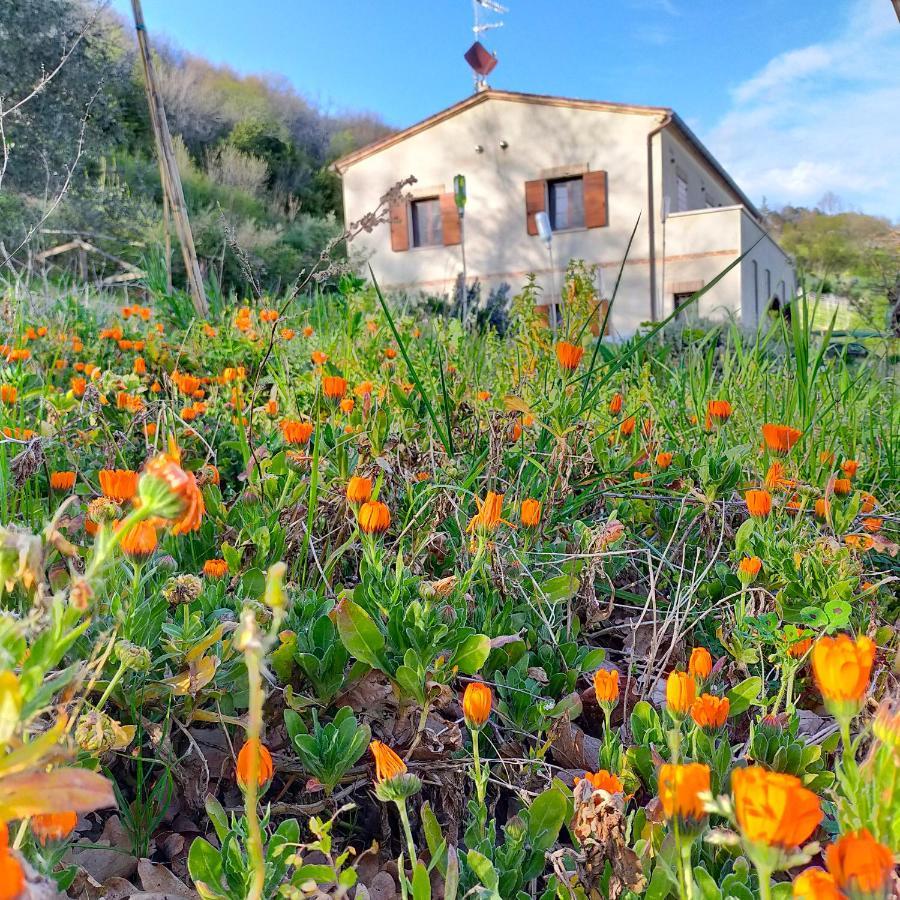 Ca'Rosei Apartment Monteciccardo Bagian luar foto