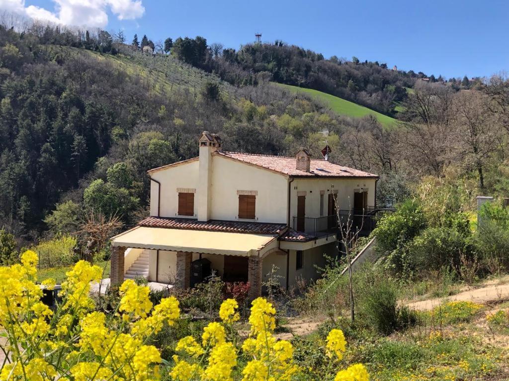 Ca'Rosei Apartment Monteciccardo Bagian luar foto