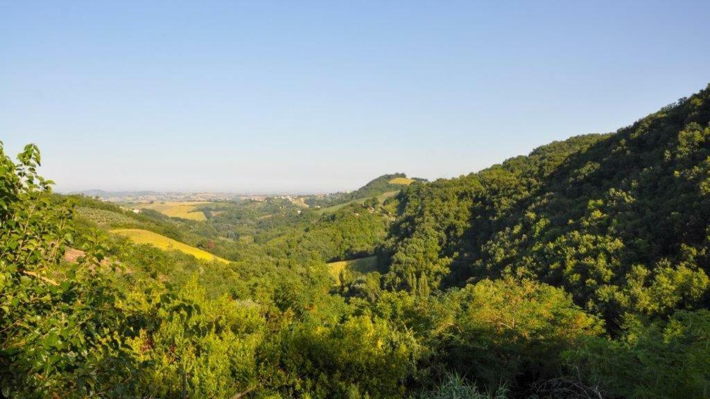 Ca'Rosei Apartment Monteciccardo Bagian luar foto